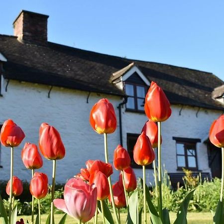 Glencoed B&B Wrexham Eksteriør billede