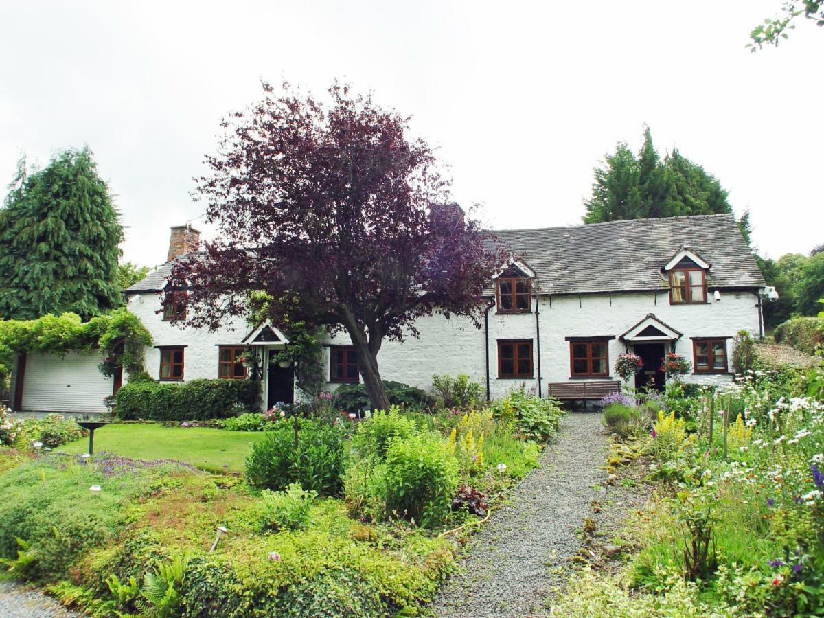 Glencoed B&B Wrexham Eksteriør billede